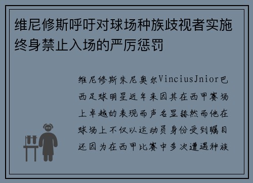 维尼修斯呼吁对球场种族歧视者实施终身禁止入场的严厉惩罚